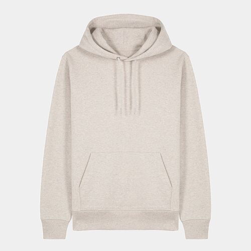 Unisex Cruiser 2.0 iconic hoodie sweatshirt (STSU177) Thumbnail