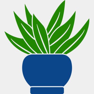 Succulent Plant 2 Thumbnail