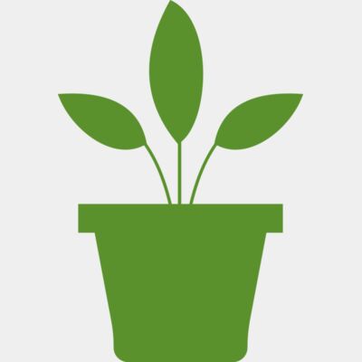 Plant 2 Thumbnail