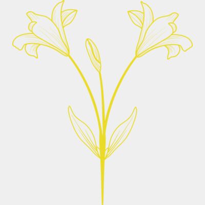 Flowers 9 Thumbnail