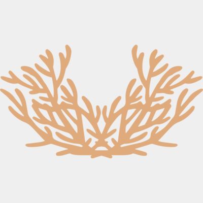 Sea Plants Thumbnail