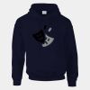 DryBlend® adult hooded sweatshirt Thumbnail