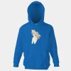 Kids premium hooded sweatshirt Thumbnail