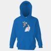 Kids premium hooded sweatshirt Thumbnail