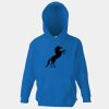 Kids premium hooded sweatshirt Thumbnail