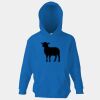 Kids premium hooded sweatshirt Thumbnail