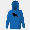 Kids premium hooded sweatshirt Thumbnail