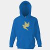 Kids premium hooded sweatshirt Thumbnail