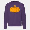 Classic 80/20 raglan sweatshirt Thumbnail