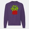 Classic 80/20 raglan sweatshirt Thumbnail