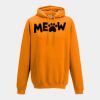 College hoodie Thumbnail