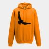 College hoodie Thumbnail